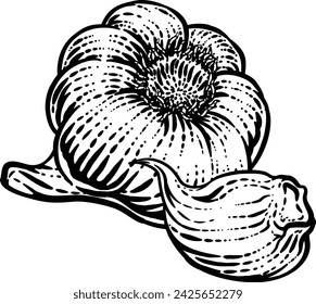 Garlic vegetable illustration in a vintage retro woodcut etching style.