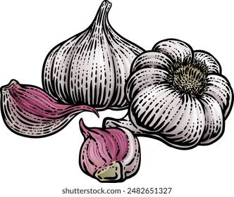 Garlic vegetable illustration in a vintage retro woodcut etching style.