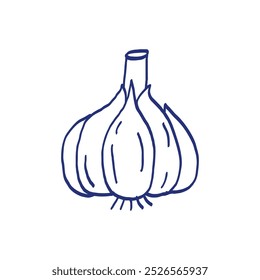 Garlic. Vegetable sketch. Hand drawn blue pen or marker drawing. Primitive kids picture