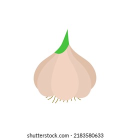 Garlic vegetable vector icon line colored. EPS 10. Spice line flat illustration. Farm market product. Vegetarian food... Fresh healthy organic food... Crop concept for vegan. Isolated on white.