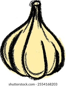 Garlic Vegetables Crayon Chalk Drawing Colorful Vector