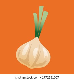 Garlic vegetables object in vector illustration