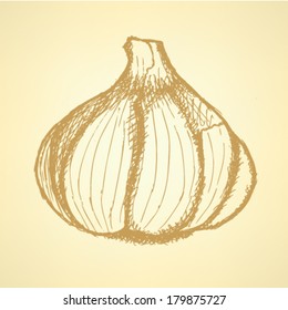 Garlic vintage, vector background
