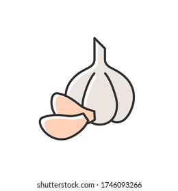 Garlic white RGB color icon. Fresh vegetable for seasoning. Whole veggie to prepare sauce. Nutrient root for spicy food. Condiment for vegan salad ingredient. Isolated vector illustration