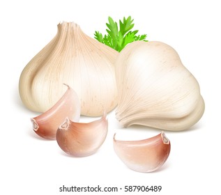 Garlic Whole And Cloves Of Garlic. Fully Editable Handmade Mesh. Vector Illustration.