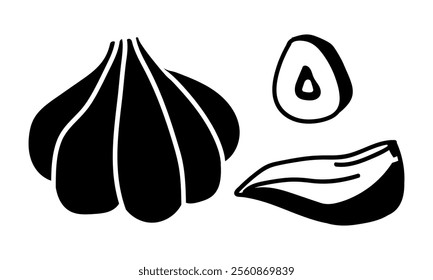 Garlic. whole onion, slice,an incision. Culinary seasonings and spices, hand-drawn. collection of sketches in small details. black outline on a white. illustration. Seasonings, spices, food additives