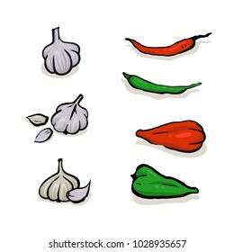 Garlick and pepper. Set of hand drawn color sketches of spicy and hot ingredients. Vector food illustration for mexican cuisine cafe