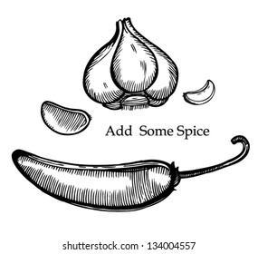 Garlic,pepper. Spice engraving vector illustration