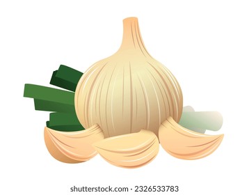 Garlics cloves design on white. Fresh natural white garlic head clove and shoots cartoon drawn organic cooking ingredients plant isolated vector illustration