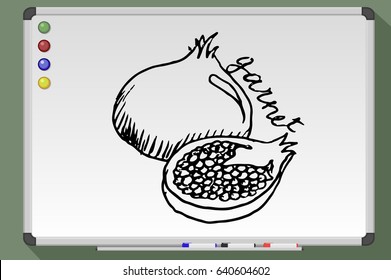 Garnet cartoon. Hand drawn vector stock illustration. Black and white whiteboard drawing