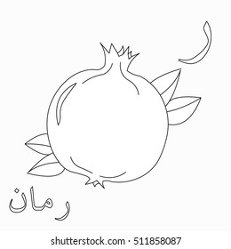 Garnet coloring with Arabic letters "Ra" and Arabic word "rumman" (translated from English - garnet) vector.