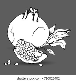 Garnet hand drawn, on a background. Vector illustration.