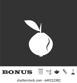 Garnet icon flat. White pictogram on black background. Vector illustration symbol and bonus icons