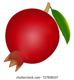 Garnet on a white background.