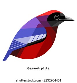 Garnet pitta Bird vector illustration on white background