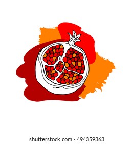 garnet, vector, fruit, pomegranate, illustration, food, sweet, natural, ripe