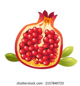 Ilustración vectorial de garnet en un fondo blanco. Fruta madura.