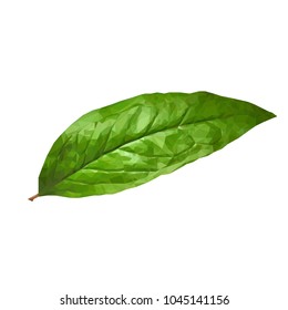 Garnets leaves isolated on a white background. Elements for label design. Vector illustration. Foliage in triangulation technique. Leaf low poly.