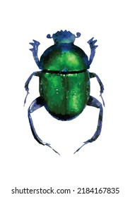 Garreta azureus. Ilustración vectorial de escarabajo. Error en el fondo blanco. Colección de entomología. Dibujo de dibujos animados de insectos al estilo de Aquarelle. Imagen para tarjeta de felicitación, logotipo, decoración y diseño.