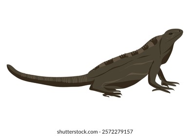 garrobo or Black spiny-tailed iguana in muddy brown color clipart