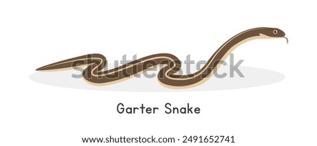 Garter snake vector illustration, cartoon clipart character, animal in flat style. Wild animals, wild creatures, wildlife concept. Snake vector design isolated on white background