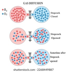 Gas Diffusion Phenomenon of oxygen and hydrogen in gaseous state in experiment container tube with stopcock closed opened and after sometime,physics chemistry concept