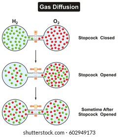 Gas Diffusion Phenomenon of oxygen and hydrogen in gaseous state in experiment container tube with stopcock closed opened and after sometime for physics science education lesson