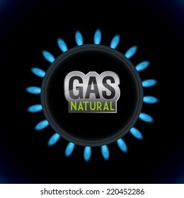 gas natural graphic design , vector illustration
