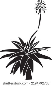 Gasteria Vector Stencil, black and white