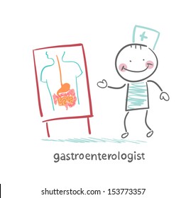 gastroenterologist shows the presentation of the disease
