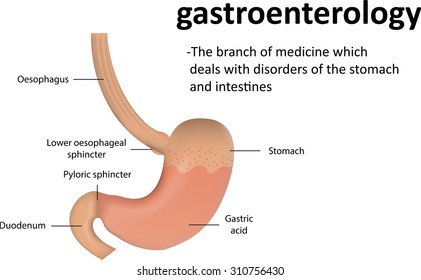 Gastroenterology