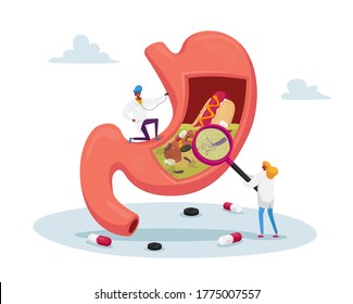 Gastroenterology Doctor Characters at Huge Stomach with Stethoscope and Magnifier. Appointment, Medic Study Stomachache Causes of Gastritis and Helicobacter Disease. Cartoon People Vector Illustration