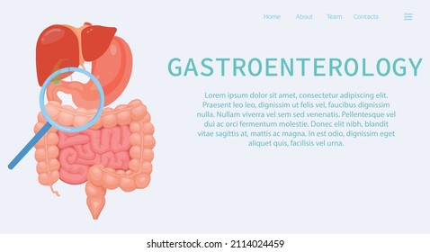 Gastroenterology. Stomach, liver and intestines. Health care concept. Landing page template on soft background. Trend flat vector illustration. 
