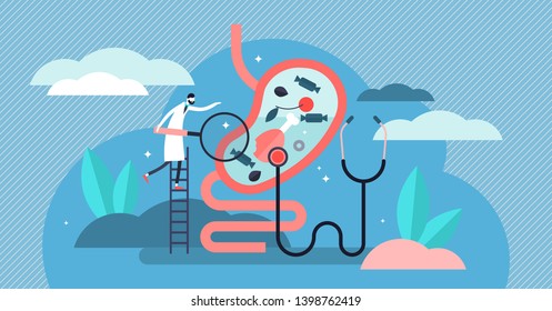 Gastroenterology vector illustration. Flat tiny stomach doctor persons concept. Medical internal organs disease health care. Tract system examination and ultrasound xray diagnosis and food suggestions