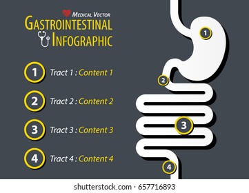 Gastrointestinal Infographic . Flat design . 