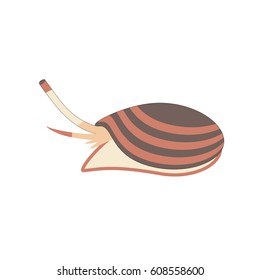 Gastrointestinal mollusc cone is a dangerous for human animal of Australia. Isolated cartoon illustration on a white background
