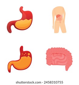 Gastrointestinal system icons set cartoon vector. Human digestive system anatomy. Medical concept