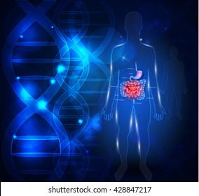 Gastrointestinal tract abstract scientific background with DNA chain
