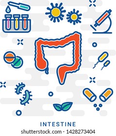 Gastrointestinal tract concept icon. Gastroenterology idea thin line illustration. Large bowel, intestine. Healthcare. Vector isolated outline drawing. Suitable for use on web apps, mobile apps and