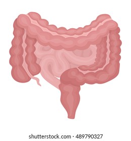 Gastrointestinal tract icon in cartoon style isolated on white background. Organs symbol stock vector illustration.