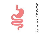 Gastrointestinal tract. Intestines, guts, stomach. Digestive tract