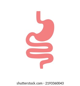 Gastrointestinal tract. Intestines, guts, stomach. Digestive tract