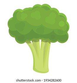 Gastronomy broccoli icon. Cartoon of gastronomy broccoli vector icon for web design isolated on white background