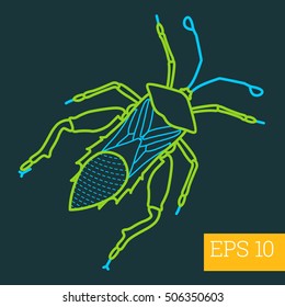 gastrophysa linear vector illustration. insect outline icon.