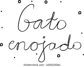 Gato enojado phrase handwritten with a calligraphy brush. Angry cat in spanish. Modern brush calligraphy. Isolated word black