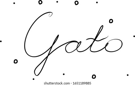 Gato phrase handwritten with a calligraphy brush. Cat in spanish. Modern brush calligraphy. Isolated word black