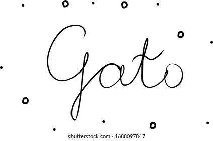 Gato phrase handwritten with a calligraphy brush. Cat in portuguese. Modern brush calligraphy. Isolated word black