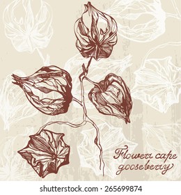 gattern_ornament