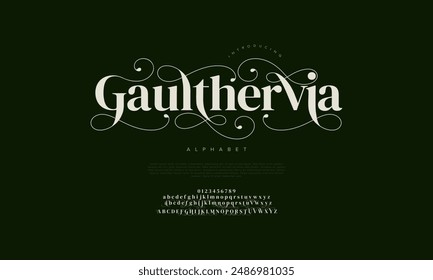 Gaulthervia letras y números de alfabeto elegantes de lujo premium. tipografía de boda Antiguas classic serif font decorativo vintage retro. Ilustración vectorial creativa