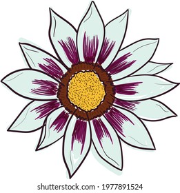 Gazania Flower. Isolated on white background. Abstract minimal vector illustration. Can be used for greeting cards, flyers, invitations, web design, etc